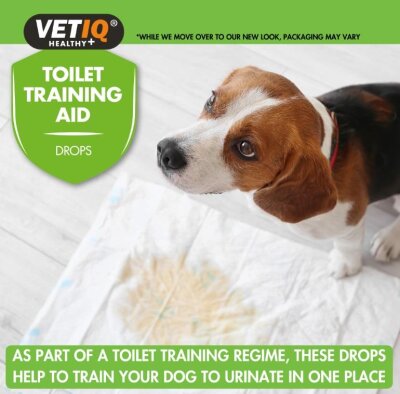 Vet IQ Köpek Çiş Eğitim Damlası 60 ml