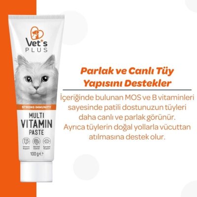 Vet's Plus Taurinli Multivitamin Malt Kedi Macunu 100 gr
