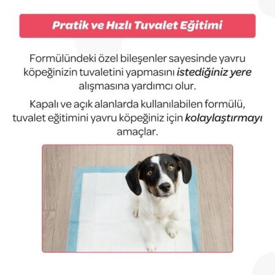 Vet's Plus Yavru Köpek Tuvalet Eğitim Spreyi 100 ml