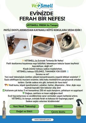 Vetsmell Organik Konsantre Kötü Koku Giderici Solüsyon