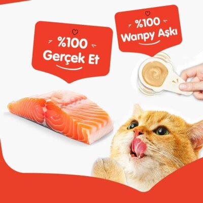 Wanpy Somonlu Kaşık Krema Kedi Ödülü 10x16 gr