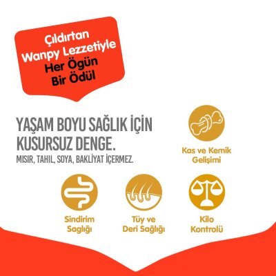 Wanpy Sığır Etli Tahılsız Yetişkin Köpek Maması 1,5 kg
