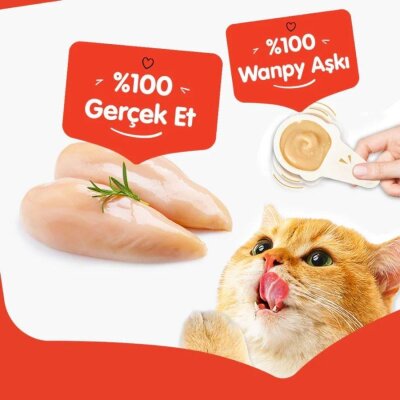 Wanpy Tavuklu Kaşık Krema Kedi Ödülü 10x16 gr