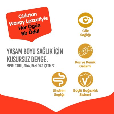 Wanpy Tavuklu Tahılsız Yavru Kedi Kuru Maması 8 kg