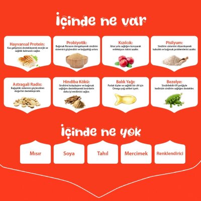 Wanpy Tavuklu Tahılsız Yavru Kedi Kuru Maması 8 kg