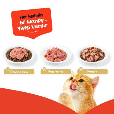 Wanpy Ton Balıklı Tahılsız Yetişkin Kedi Konservesi 375 gr