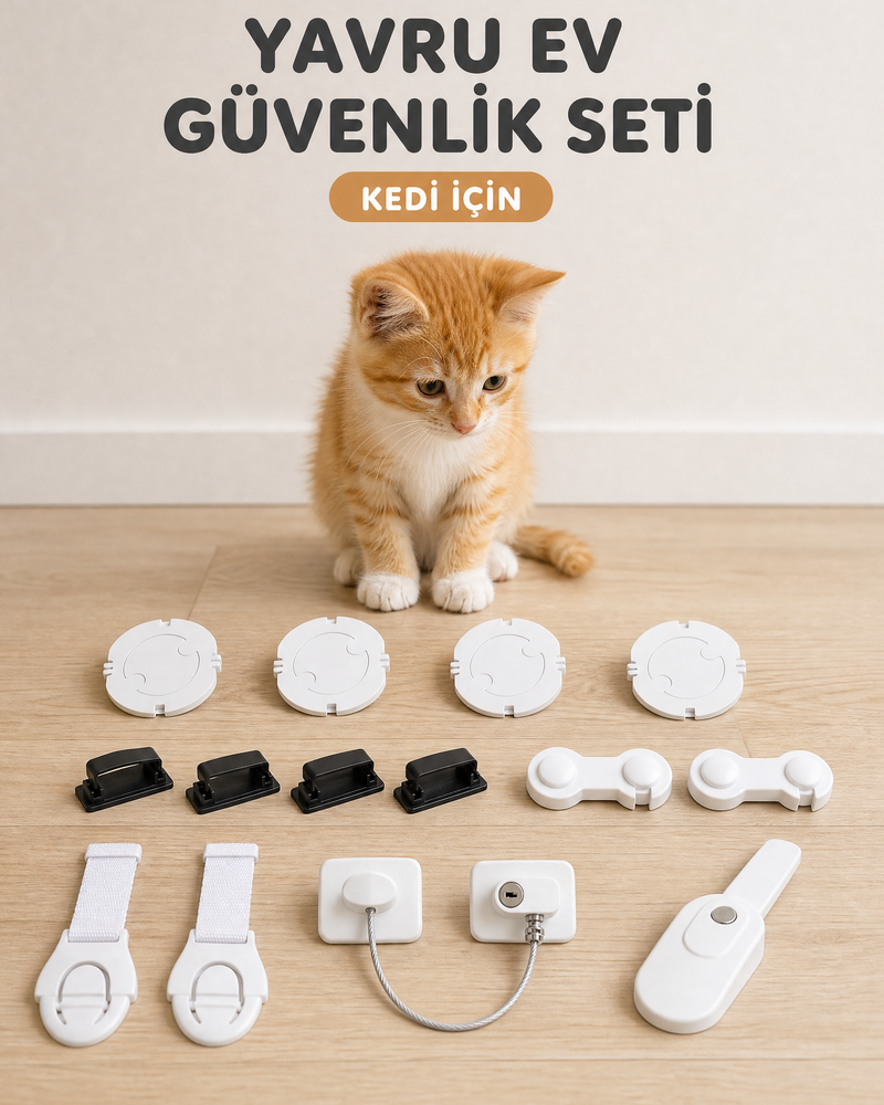 Yavru Ev Güvenlik Seti kedi kapağı: yavru kedi ve setin parçaları