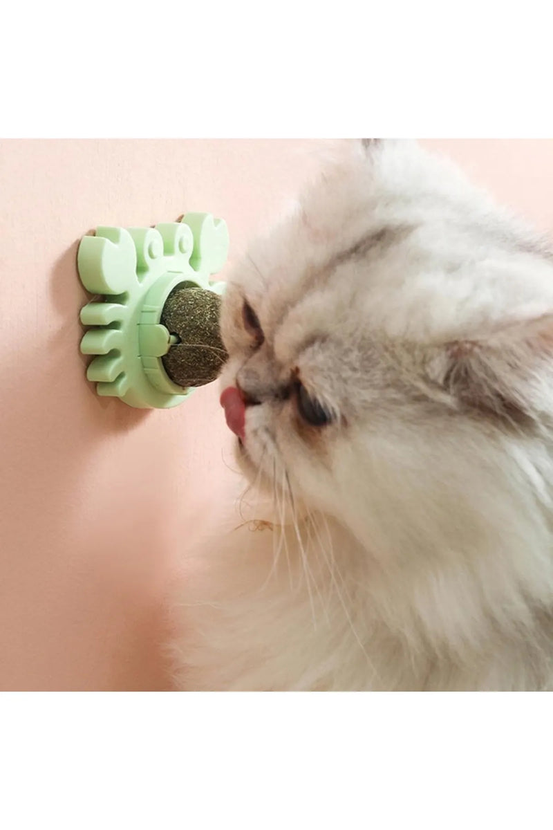 Yengeç Figürlü Kedi Otu (Catnip) Yalama Topu